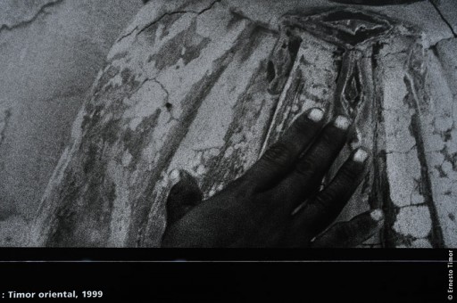 Cliquer pour agrandir Photo © Ernesto Timor