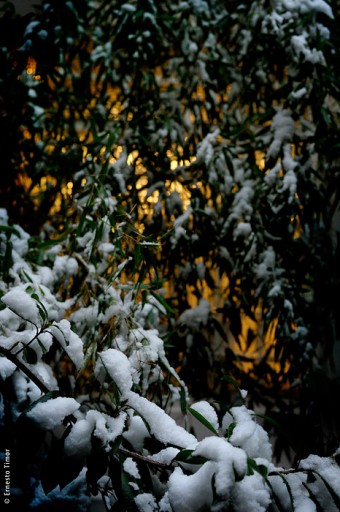 Cliquer pour agrandir Photo © Ernesto Timor