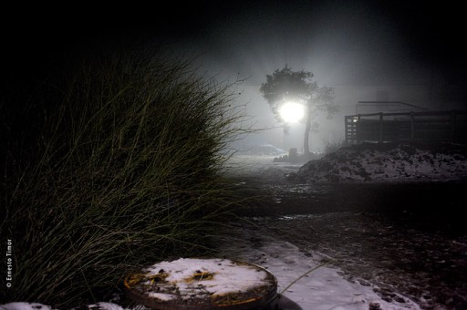 Cliquer pour agrandir Photo © Ernesto Timor