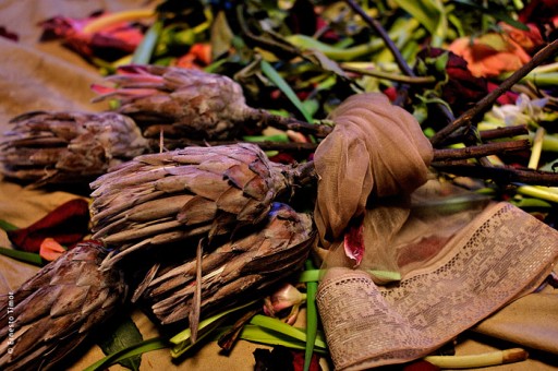 Photo © Ernesto Timor