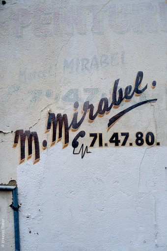 Cliquer pour agrandir Photo © Ernesto Timor