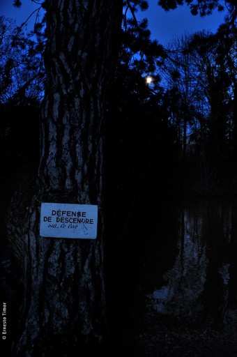 Photo © Ernesto Timor