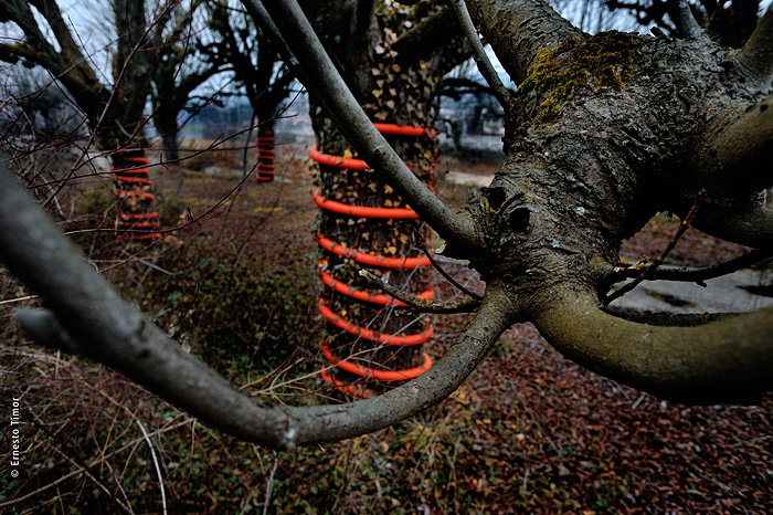 Paysage multi-spires