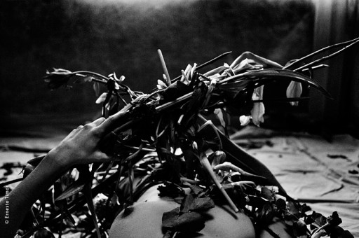 Photo © Ernesto Timor