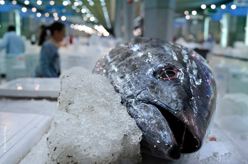 shot: june 09 | printed: today | killing joke revisited | outskirts of paris