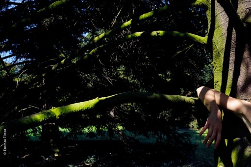 Photo © Ernesto Timor