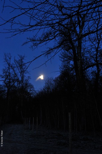 Photo © Ernesto Timor