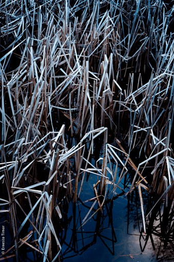 Cliquer pour agrandir Photo © Ernesto Timor