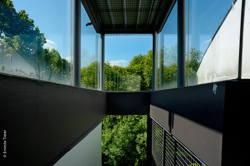 Photo © Ernesto Timor