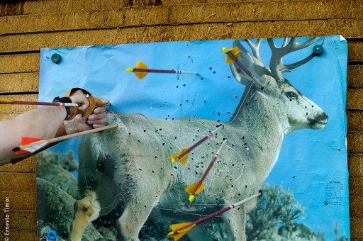 Photo © Ernesto Timor