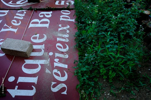 Photo © Ernesto Timor