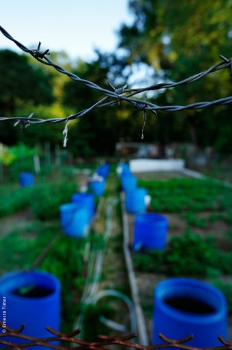 Photo © Ernesto Timor