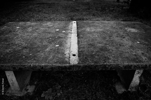 Cliquer pour agrandir Photo © Ernesto Timor