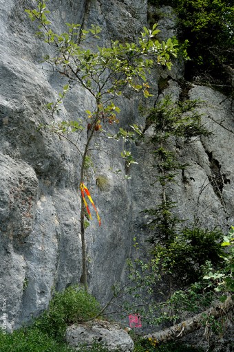 Photo © Ernesto Timor