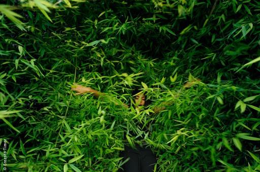 Photo © Ernesto Timor