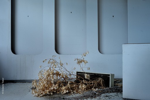 Photo © Ernesto Timor