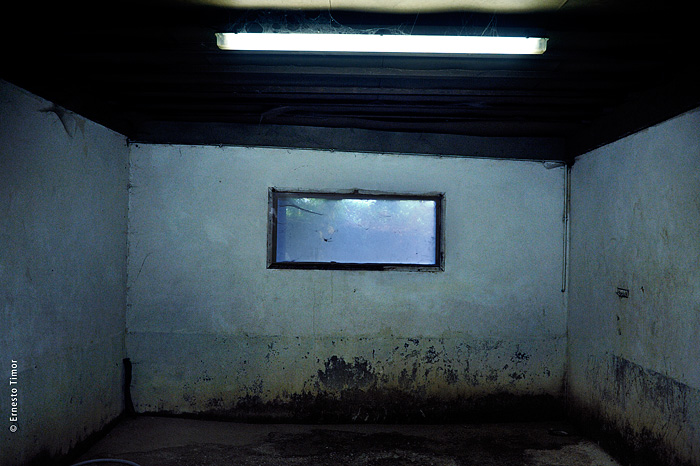 « Puis, du point de vue de la réalité, ce fut fini. »