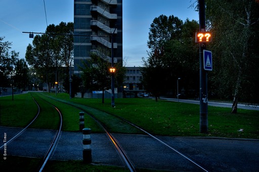 Photo © Ernesto Timor