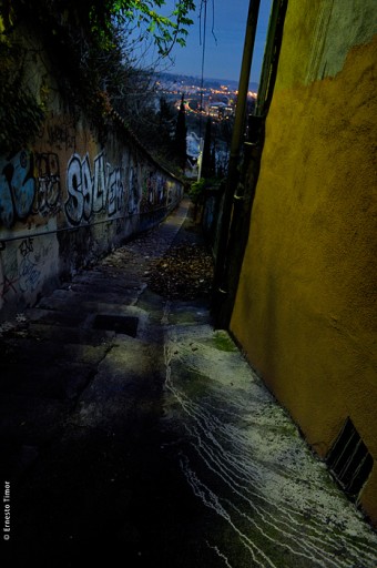 Photo © Ernesto Timor