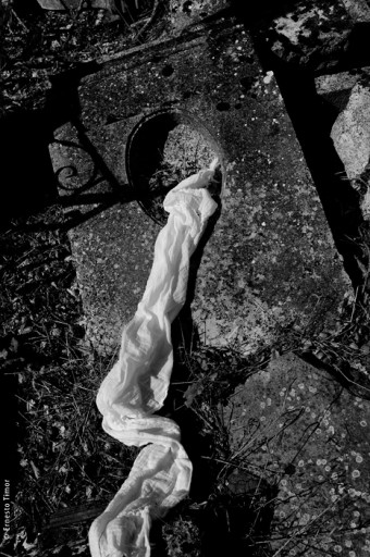 Photo © Ernesto Timor