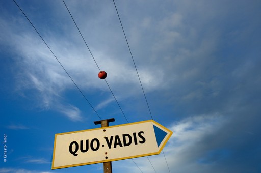 Photo © Ernesto Timor