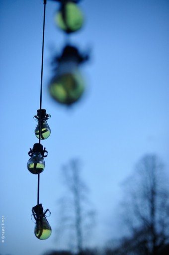 Photo © Ernesto Timor