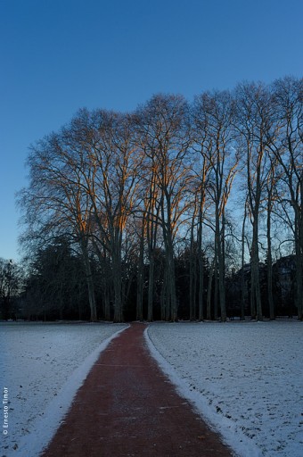 Photo © Ernesto Timor