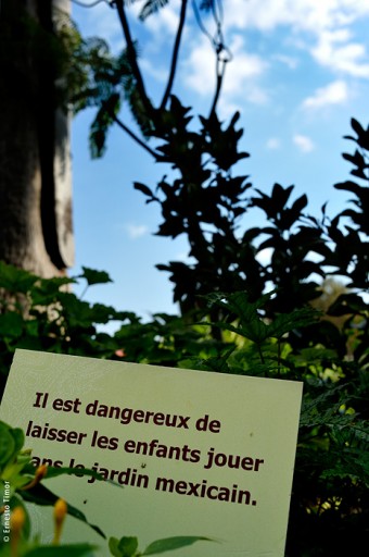 Photo © Ernesto Timor