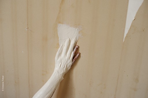 Cliquer pour agrandir Photo © Ernesto Timor