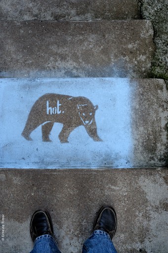 Photo © Ernesto Timor