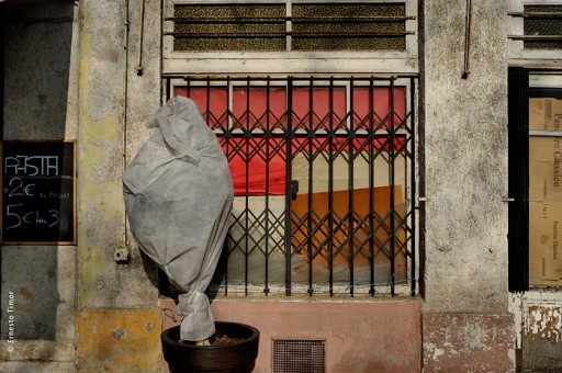 Cliquer pour agrandir Photo © Ernesto Timor