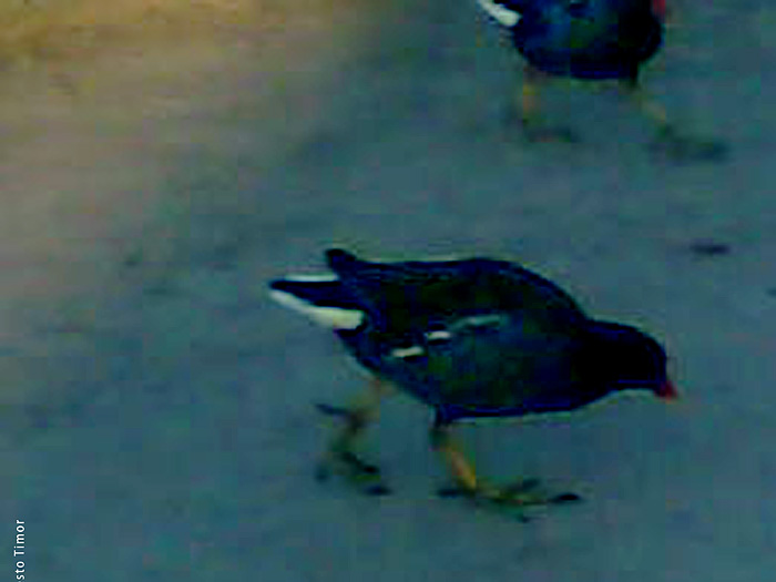 Je ne vois pas bien où je veux en venir