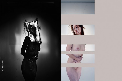 Cliquer pour agrandir Photo © Ernesto Timor