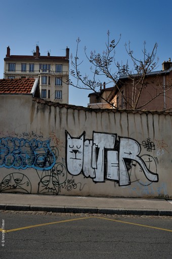 Photo © Ernesto Timor