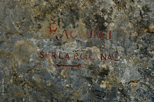 Photo © Ernesto Timor