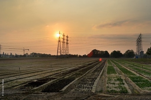 Photo © Ernesto Timor