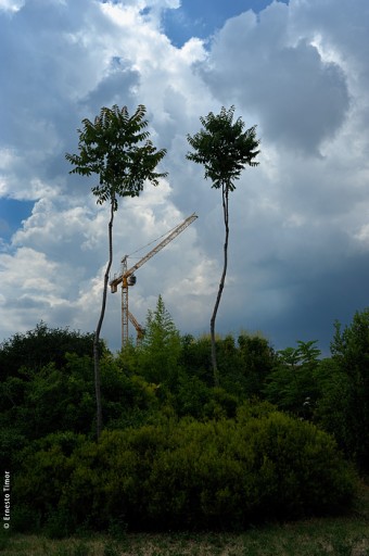 Photo © Ernesto Timor