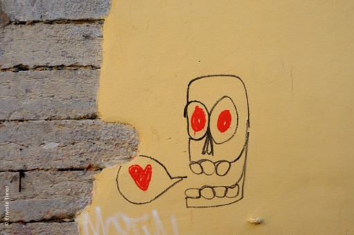 Photo © Ernesto Timor