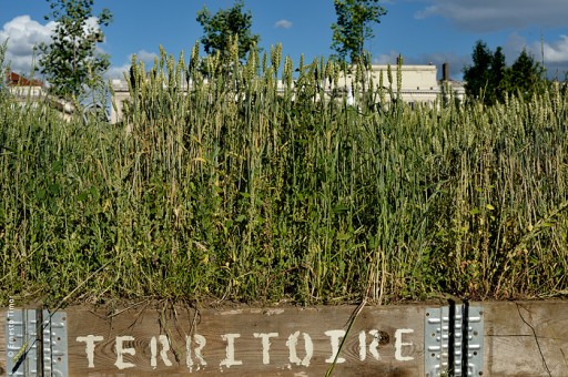 Photo © Ernesto Timor