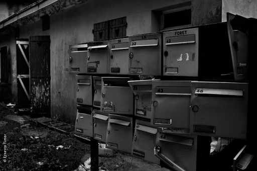 Photo © Ernesto Timor