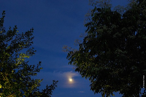 Photo © Ernesto Timor