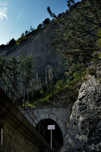 Cliquer pour agrandir Photo © Ernesto Timor