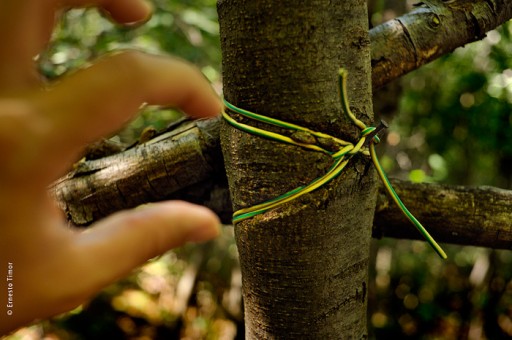 Photo © Ernesto Timor