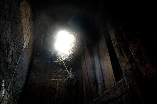 Photo © Ernesto Timor