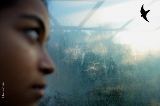 Photo © Ernesto Timor