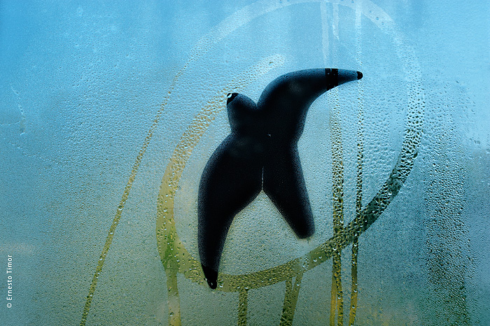 Visibilité réduite, belles éclaircies humides