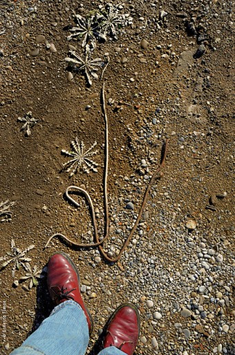 Photo © Ernesto Timor