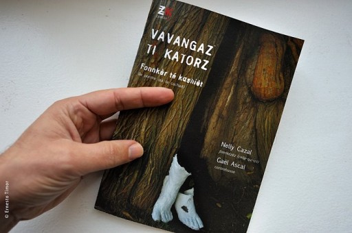 Cliquer pour agrandir Photo © Ernesto Timor