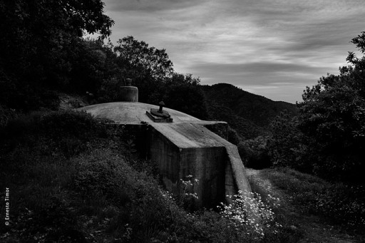 Cliquer pour agrandir Photo © Ernesto Timor