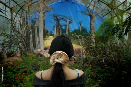 Photo © Ernesto Timor